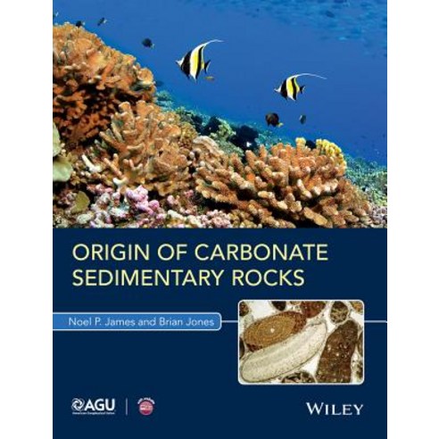 Origin of Carbonate Sedimentary Rocks Hardcover, American Geophysical Union