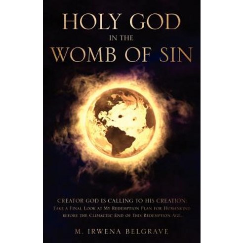 Holy God in the Womb of Sin Paperback, Xulon Press