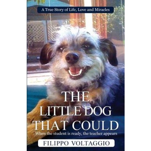 The Little Dog That Could: A True Story of Life Love and Miracles Paperback, Life Changes Publishing