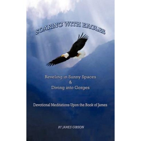 Soaring with Eagles: Reveling in Sunny Spaces and Diving Into Gorges Devotional Meditations Upon the Book of James Paperback, Trafford Publishing