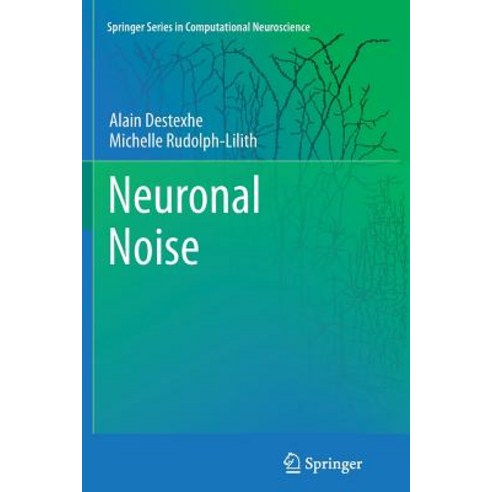 Neuronal Noise Paperback, Springer