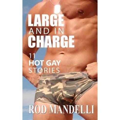 Large and in Charge 11 Hot Gay Stories Paperback, Createspace Independent Publishing Platform