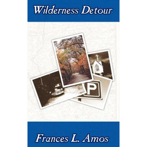 Wilderness Detour Paperback, Virtualbookworm.com Publishing