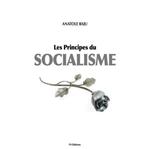 Les Principes Du Socialisme Paperback, Createspace Independent Publishing Platform