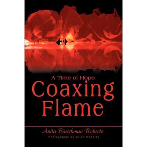 Coaxing Flame: A Time of Hope Paperback, iUniverse