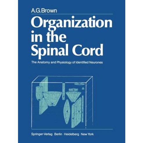 Organization in the Spinal Cord: The Anatomy and Physiology of Identified Neurones Paperback, Springer