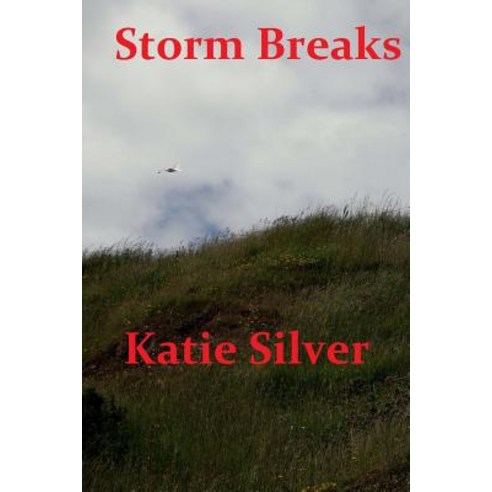 Storm Breaks: Storms Trilogy Book 2 Paperback, Createspace Independent Publishing Platform