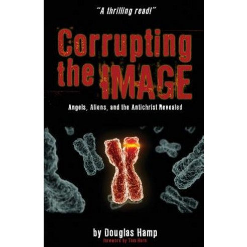 Corrupting the Image Book: Angels Aliens and the Antichrist Revealed Paperback, Createspace Independent Publishing Platform
