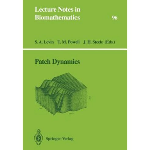 Patch Dynamics Paperback, Springer