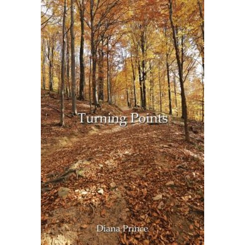 Turning Points Paperback, Authorhouse