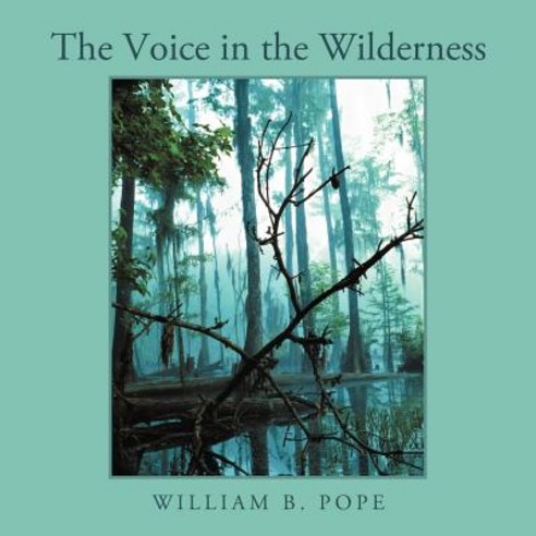 The Voice in the Wilderness Paperback, WestBow Press