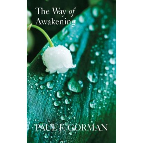 The Way of Awakening Paperback, Vine Press