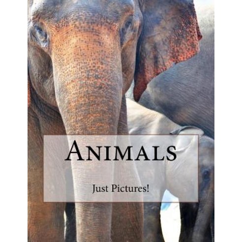 Animals Paperback, Createspace Independent Publishing Platform