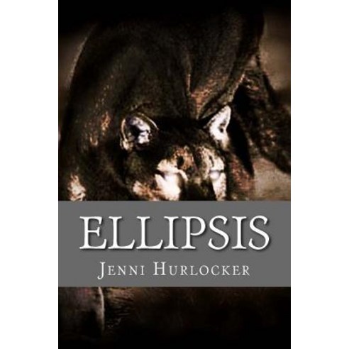 Ellipsis Paperback, Createspace