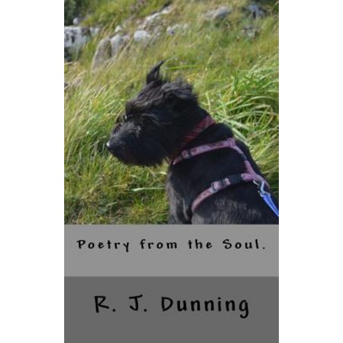 Poetry from the Soul Paperback, Createspace Independent Publishing Platform