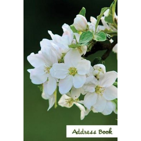 Address Book.: (Flower Edition Vol. 185) Glossy and Soft Cover Large Print Font 6" X 9" for Contact..., Createspace Independent Publishing Platform