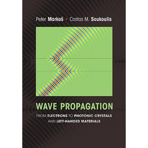 Wave Propagation: From Electrons to Photonic Crystals and Left-Handed Materials, Princeton University Press