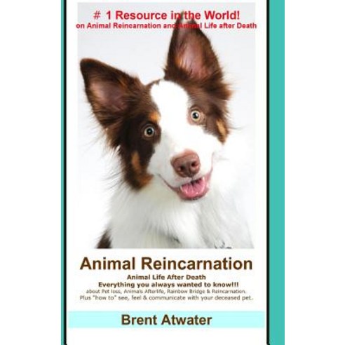 Animal Reincarnation: Everything You Always Wanted to Know! about Pet Reincarnation Plus How to Techni..., Createspace Independent Publishing Platform