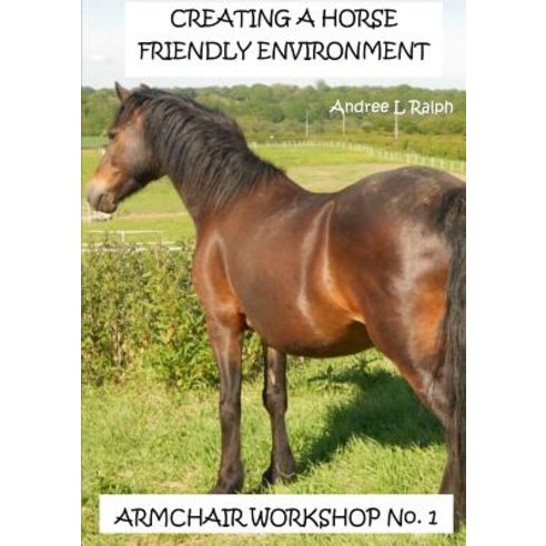 Creating a Horse Friendly Environment - Armchair Workshop No.1 Paperback, Lulu.com