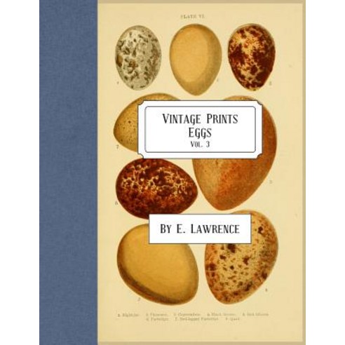 Vintage Prints: Eggs: Vol. 3 Paperback, Createspace Independent Publishing Platform