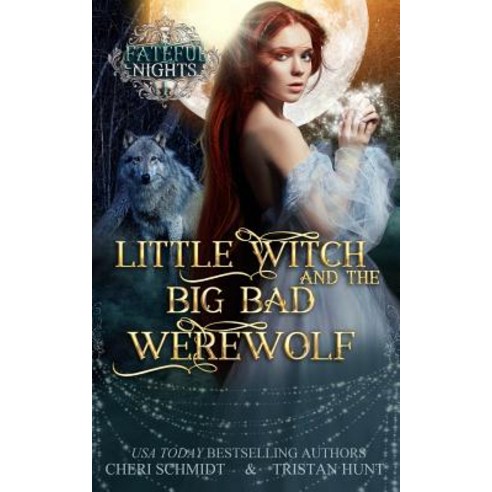 Little Witch & the Big Bad Werewolf Paperback, Createspace Independent Publishing Platform