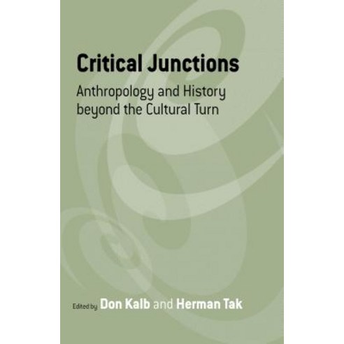 Critical Junctions: Anthropology and History Beyond the Cultural Turn Hardcover, Berghahn Books