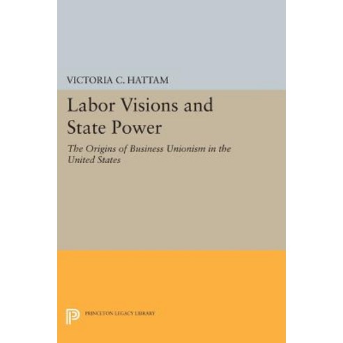 Labor Visions and State Power: The Origins of Business Unionism in the United States Paperback, Princeton University Press