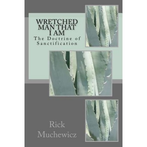 Wretched Man That I Am: The Doctrine of Sanctification Paperback, Createspace Independent Publishing Platform