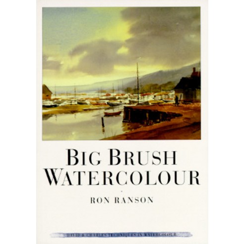Big Brush Watercolor Paperback, David & Charles Publishers