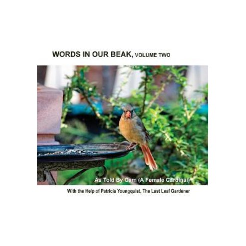 Words in Our Beak Volume Two Hardcover, Patricia Youngquist