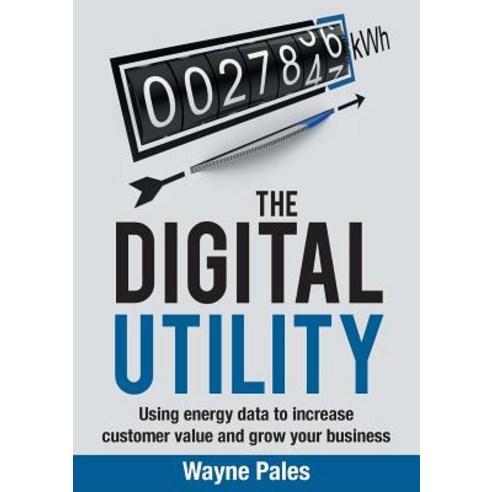 The Digital Utility: Using Energy Data to Increase Customer Value and Grow Your Business Paperback, Grammar Factory Pty. Ltd.