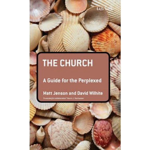 The Church: A Guide for the Perplexed Hardcover, Continuum