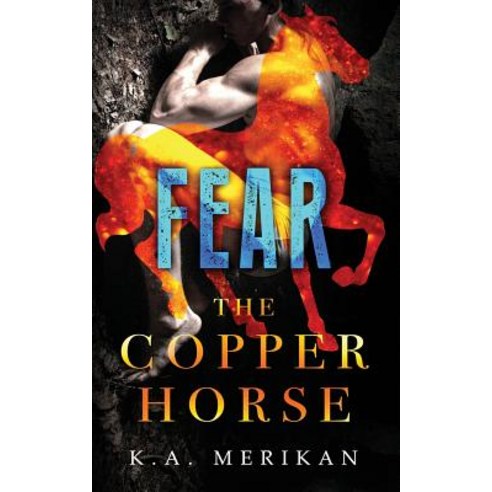 Fear (the Copper Horse Book 1) (Gay Dark Romance Bdsm) Paperback, Createspace Independent Publishing Platform