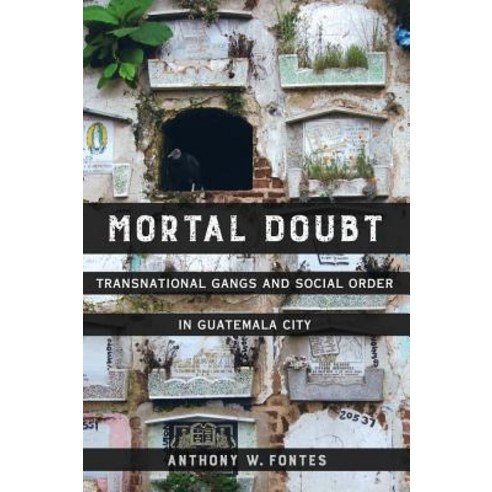 Mortal Doubt: Transnational Gangs and Social Order in Guatemala City Paperback, University of California Press