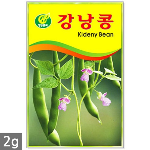 강낭콩 2g - 콩 씨 씨앗 강낭콩씨앗 강남콩씨앗 강낭콩씨, 03_청농_과꽃(100립), 1개