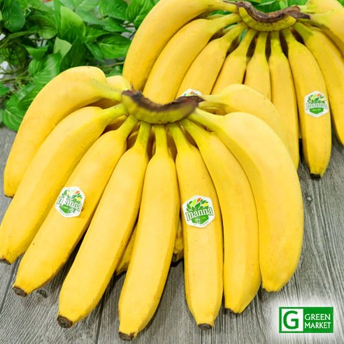 [그린청과] 고당도 필리핀 바나나 2송이(3.5~4kg)