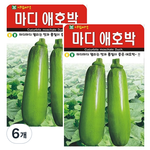 마디애호박 씨앗 애호박 씨앗 종자, 6개