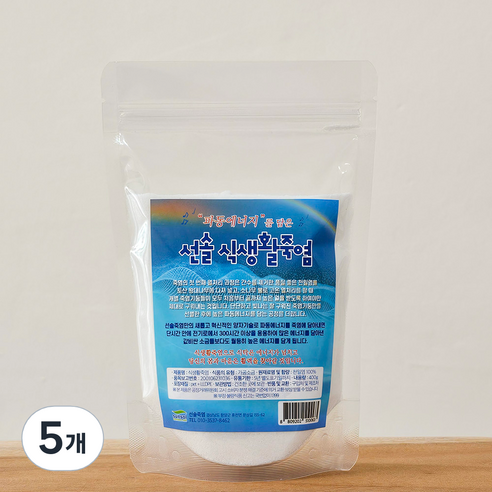 선솔죽염 용융미네랄소금 생활 죽염 + 파동 에너지 2회, 5개, 400g