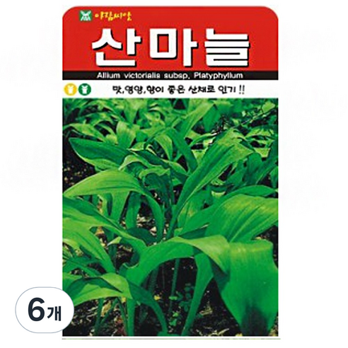 산마늘 씨앗 약초 씨 종자, 6개