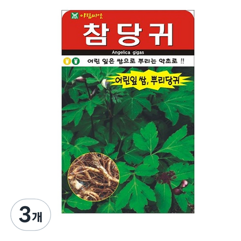 참당귀 씨앗 200립, 3개