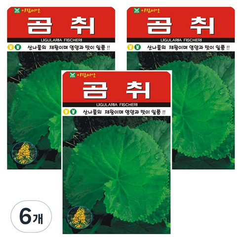 곰취 씨앗 나물 씨 종자, 6개
