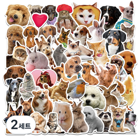 올리브파티 감성 캐리어 노트북 여행 방수 스티커 세트, 2세트, 큐티팻