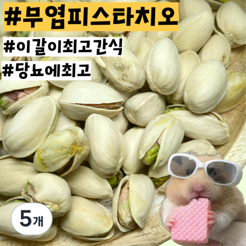 [내일도착] 당뇨예방 무염 햄스터 기니피그 친칠라 이갈이 피스타치오 간식, 5개, 20g