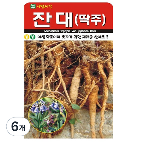 잔대 씨앗 약초 씨 종자, 6개