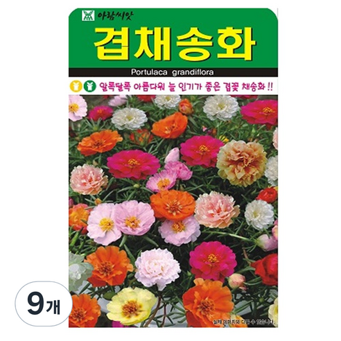 겹채송화 꽃 씨앗 꽃씨 종자 씨, 9개