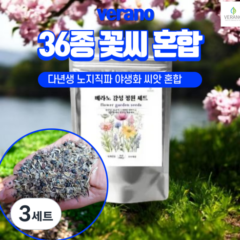 [노지직파 꽃씨앗 대용량] 베라노 감성정원 36종 꽃씨혼합 1만5천립 1평-3평 파종 노지 월동 다년생 사계절 야생화 종자, 3세트