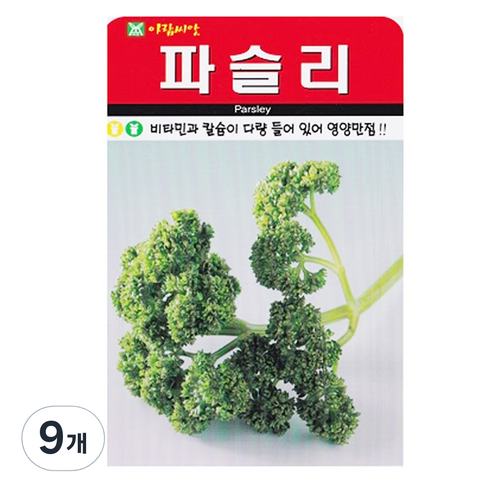 파슬리 씨앗 씨 종자, 9개