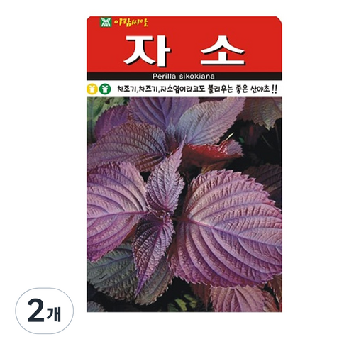 자소 씨앗 1000립, 2개