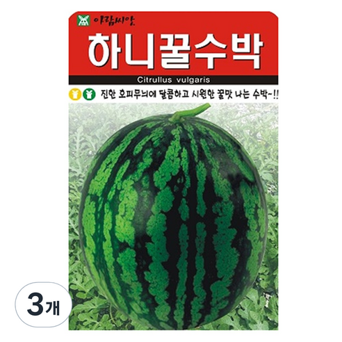 하니 꿀 수박 씨앗 종자, 3개