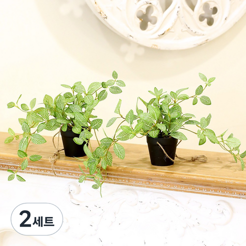 인테리어 조화 행잉플랜트 벽장식 가랜드 뉴행잉넝쿨화분, 2세트, 휘토니아 2P